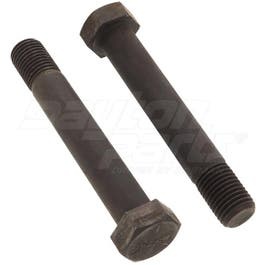 Bolt - 1-1/4-7 In. x 8 In.