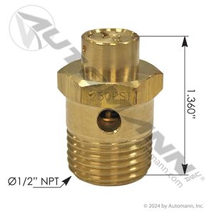 170.131081 - ST4 Type Safety Valve 250 PSI